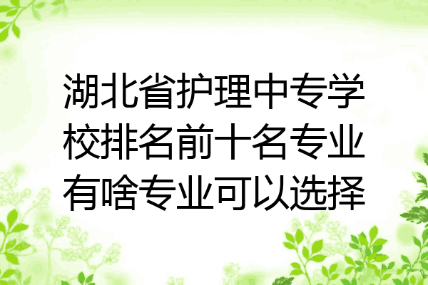 湖北省护理中专学校排名前十名专业有啥专业可以选择