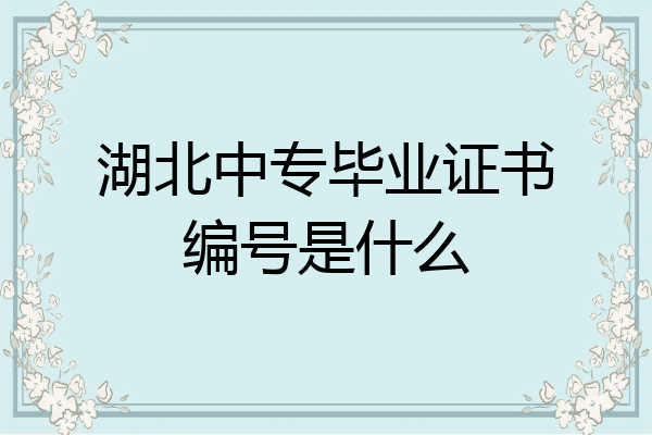 湖北中专毕业证书编号是什么