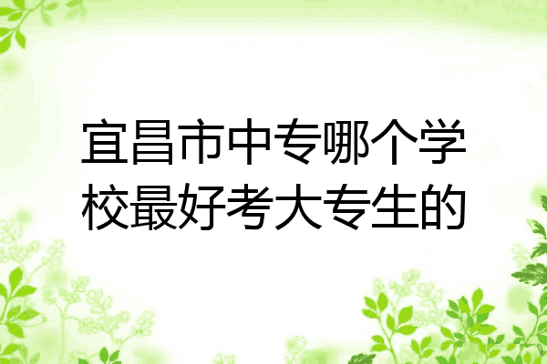 宜昌市中专哪个学校最好考大专生的