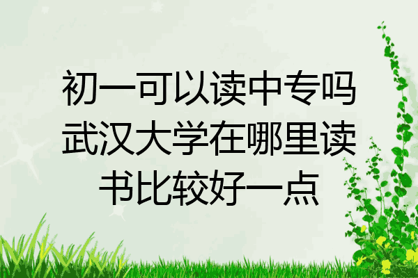 初一可以读中专吗武汉大学在哪里读书比较好一点