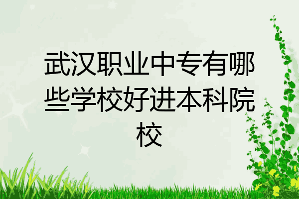 武汉职业中专有哪些学校好进本科院校
