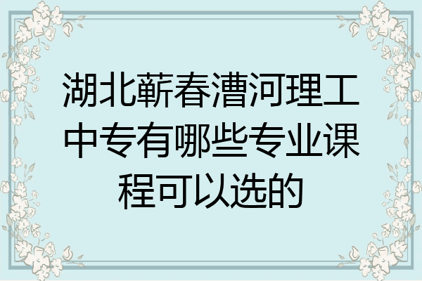湖北蕲春漕河理工中专有哪些专业课程可以选的