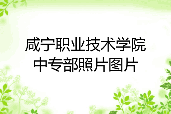 咸宁职业技术学院中专部照片图片