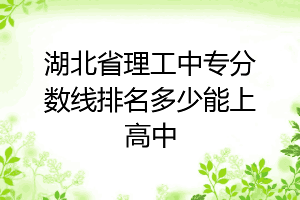 湖北省理工中专分数线排名多少能上高中
