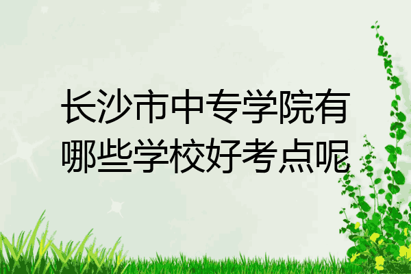 长沙市中专学院有哪些学校好考点呢