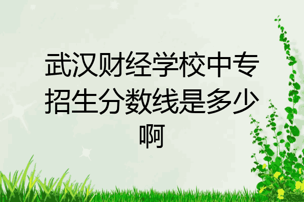 武汉财经学校中专招生分数线是多少啊
