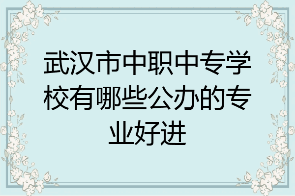 武汉市中职中专学校有哪些公办的专业好进