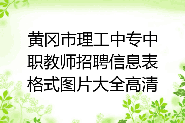 黄冈市理工中专中职教师招聘信息表格式图片大全高清