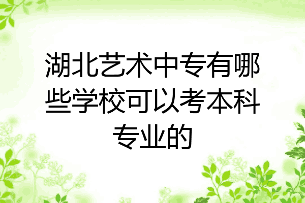 湖北艺术中专有哪些学校可以考本科专业的