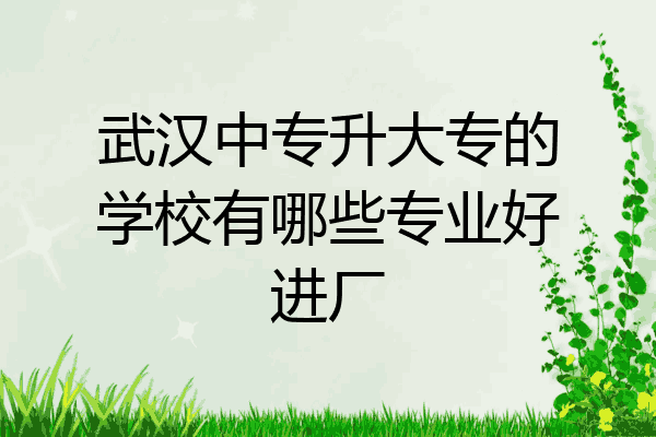 武汉中专升大专的学校有哪些专业好进厂