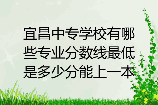 宜昌中专学校有哪些专业分数线最低是多少分能上一本