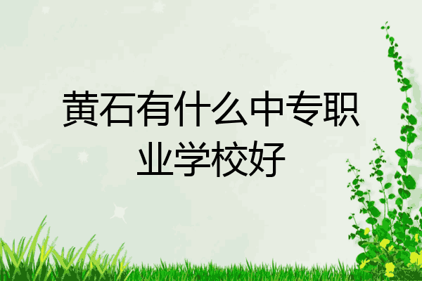 黄石有什么中专职业学校好
