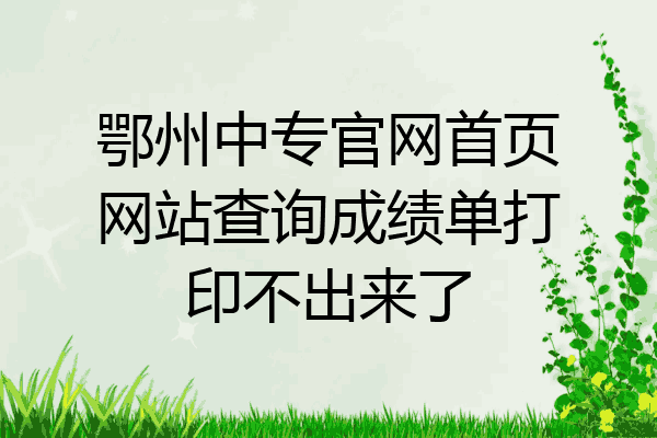 鄂州中专官网首页网站查询成绩单打印不出来了