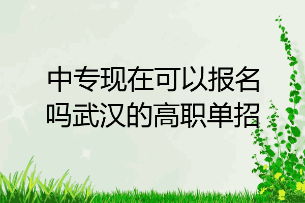 中专现在可以报名吗武汉的高职单招