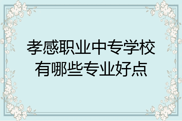 孝感职业中专学校有哪些专业好点