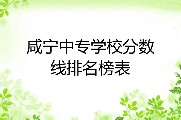 咸宁中专学校分数线排名榜表