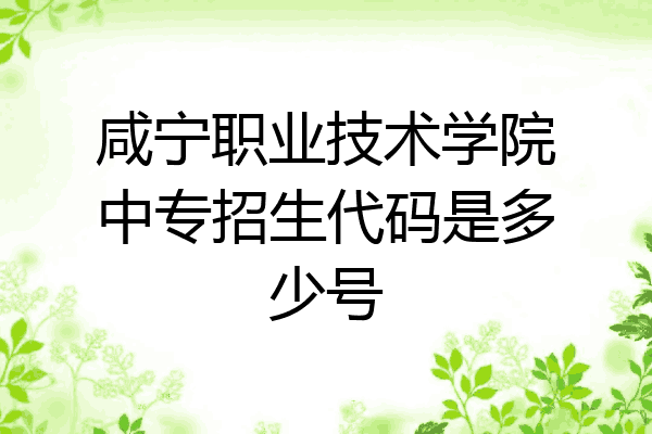 咸宁职业技术学院中专招生代码是多少号