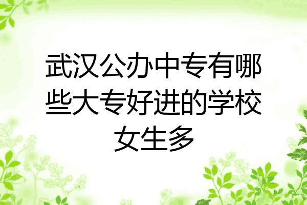 武汉公办中专有哪些大专好进的学校女生多