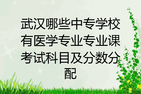 武汉哪些中专学校有医学专业专业课考试科目及分数分配