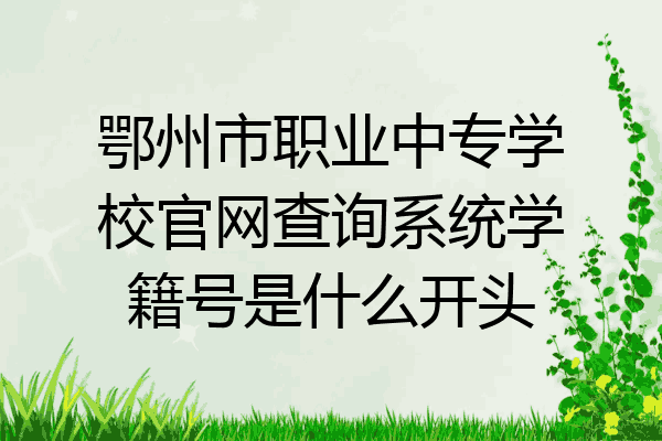 鄂州市职业中专学校官网查询系统学籍号是什么开头