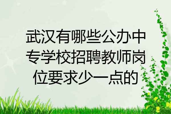 武汉有哪些公办中专学校招聘教师岗位要求少一点的