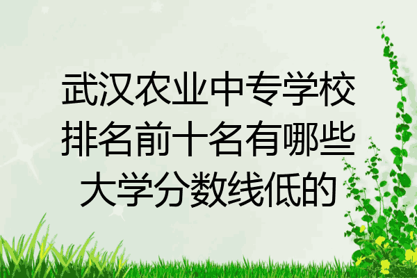 武汉农业中专学校排名前十名有哪些大学分数线低的