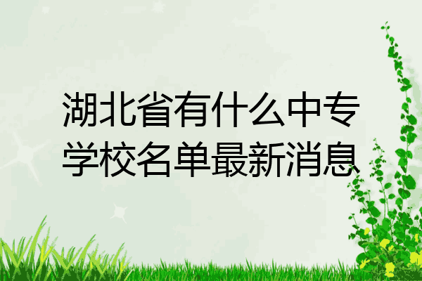湖北省有什么中专学校名单最新消息