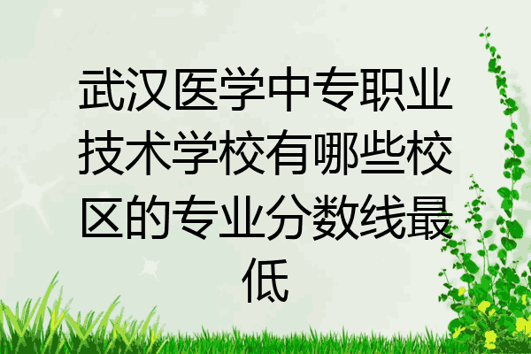 武汉医学中专职业技术学校有哪些校区的专业分数线最低