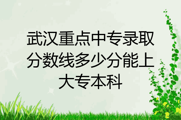 武汉重点中专录取分数线多少分能上大专本科