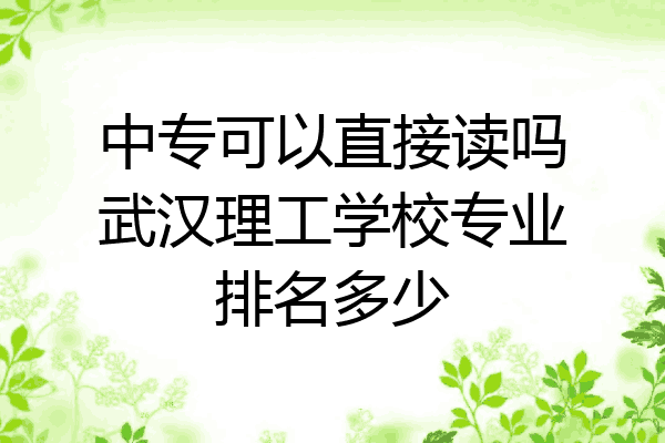 中专可以直接读吗武汉理工学校专业排名多少