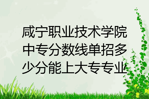 咸宁职业技术学院中专分数线单招多少分能上大专专业