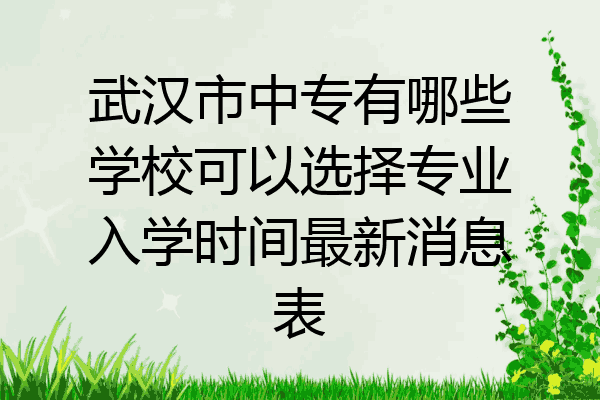 武汉市中专有哪些学校可以选择专业入学时间最新消息表