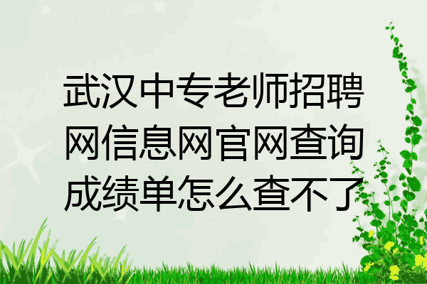 武汉中专老师招聘网信息网官网查询成绩单怎么查不了