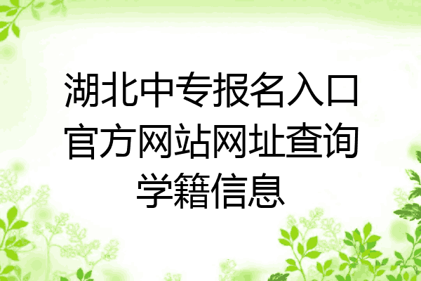 湖北中专报名入口官方网站网址查询学籍信息