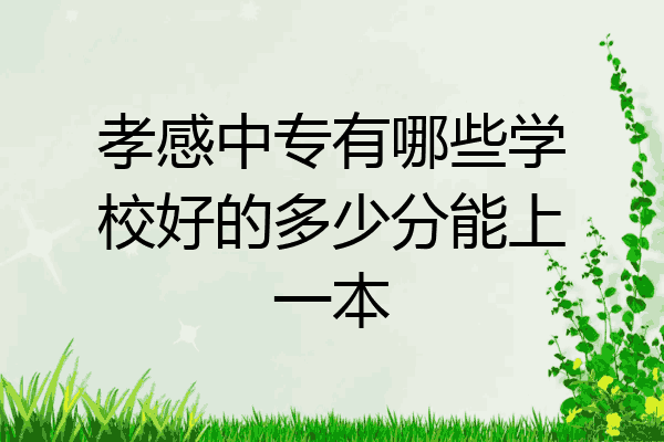 孝感中专有哪些学校好的多少分能上一本