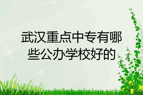 武汉重点中专有哪些公办学校好的