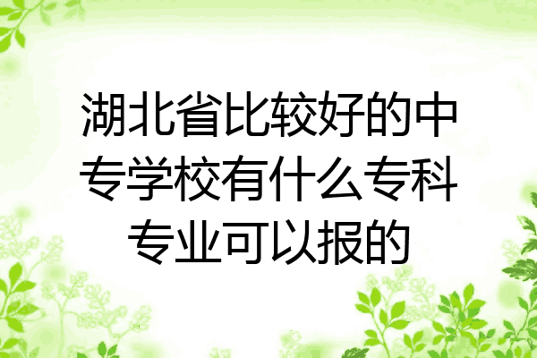 湖北省比较好的中专学校有什么专科专业可以报的