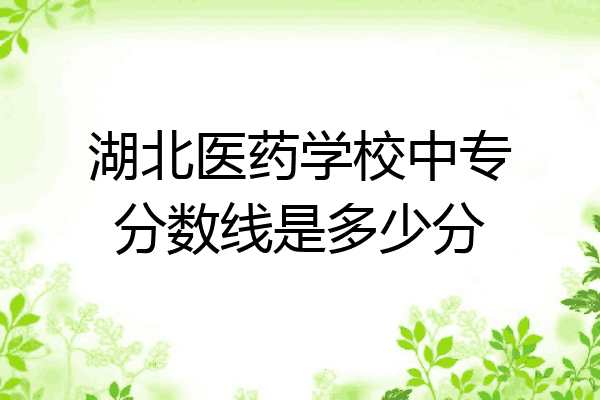 湖北医药学校中专分数线是多少分