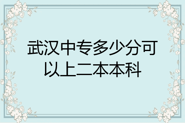 武汉中专多少分可以上二本本科