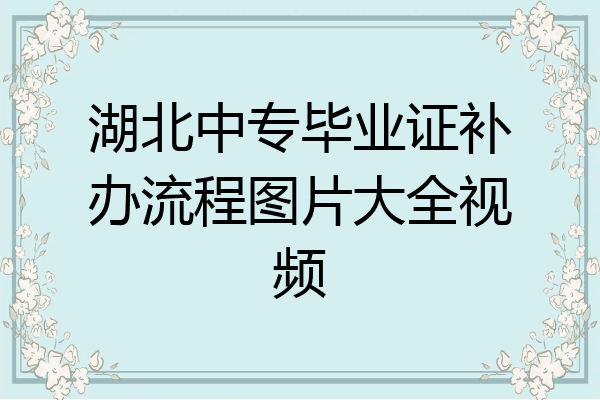湖北中专毕业证补办流程图片大全视频