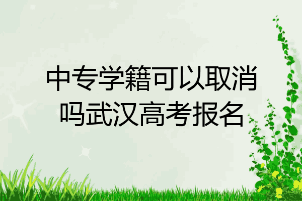 中专学籍可以取消吗武汉高考报名