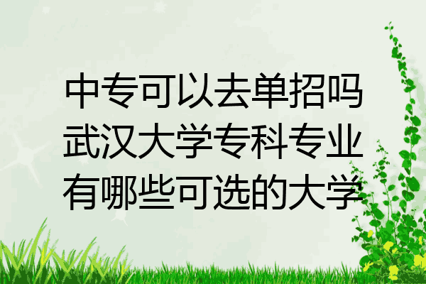 中专可以去单招吗武汉大学专科专业有哪些可选的大学