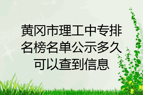 黄冈市理工中专排名榜名单公示多久可以查到信息