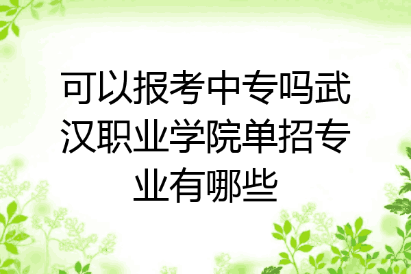 可以报考中专吗武汉职业学院单招专业有哪些