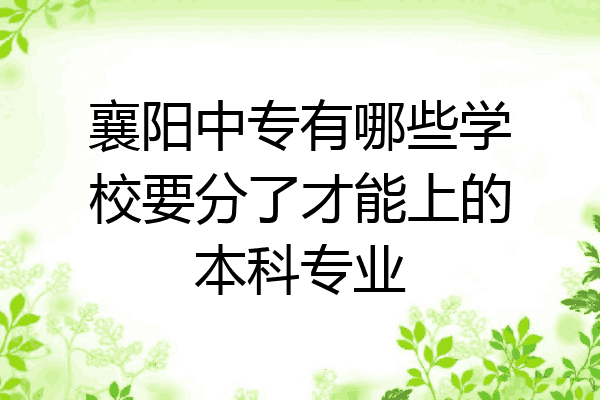 襄阳中专有哪些学校要分了才能上的本科专业