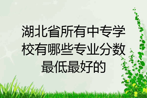湖北省所有中专学校有哪些专业分数最低最好的