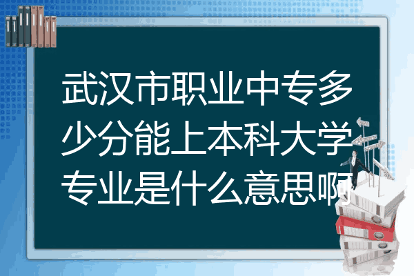 武汉市职业中专多少分能上本科大学专业是什么意思啊