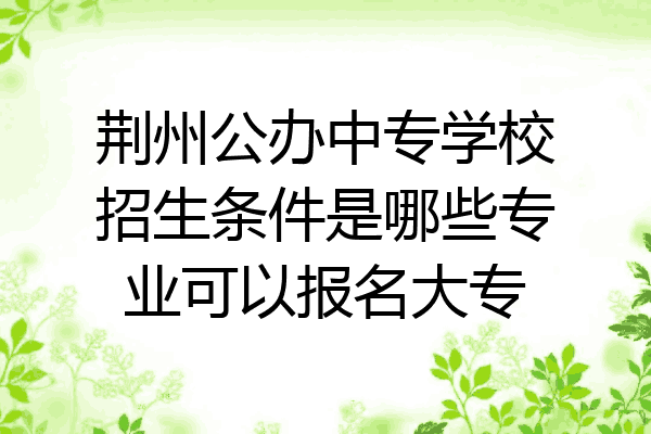 荆州公办中专学校招生条件是哪些专业可以报名大专