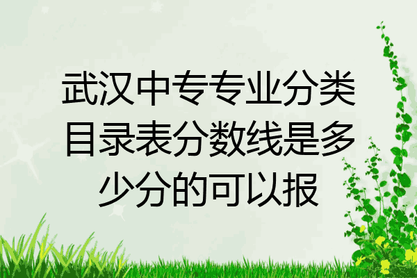 武汉中专专业分类目录表分数线是多少分的可以报