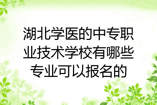 湖北学医的中专职业技术学校有哪些专业可以报名的